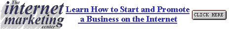 Start and Promote a Successful Business on the Internet